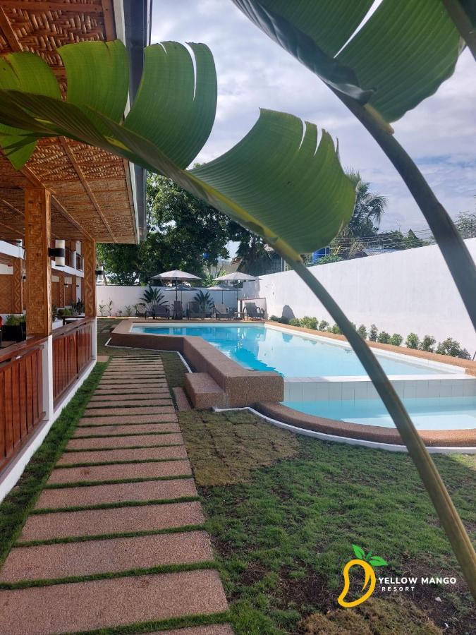 Yellow Mango Resort Bohol パングラオ エクステリア 写真